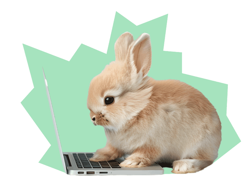 Jetzt Webseite erstellen lassen von PixelConsult