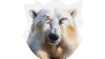 Optimierung für Suchmaschinen in Dortmund: Symbolbild mit Eisbär