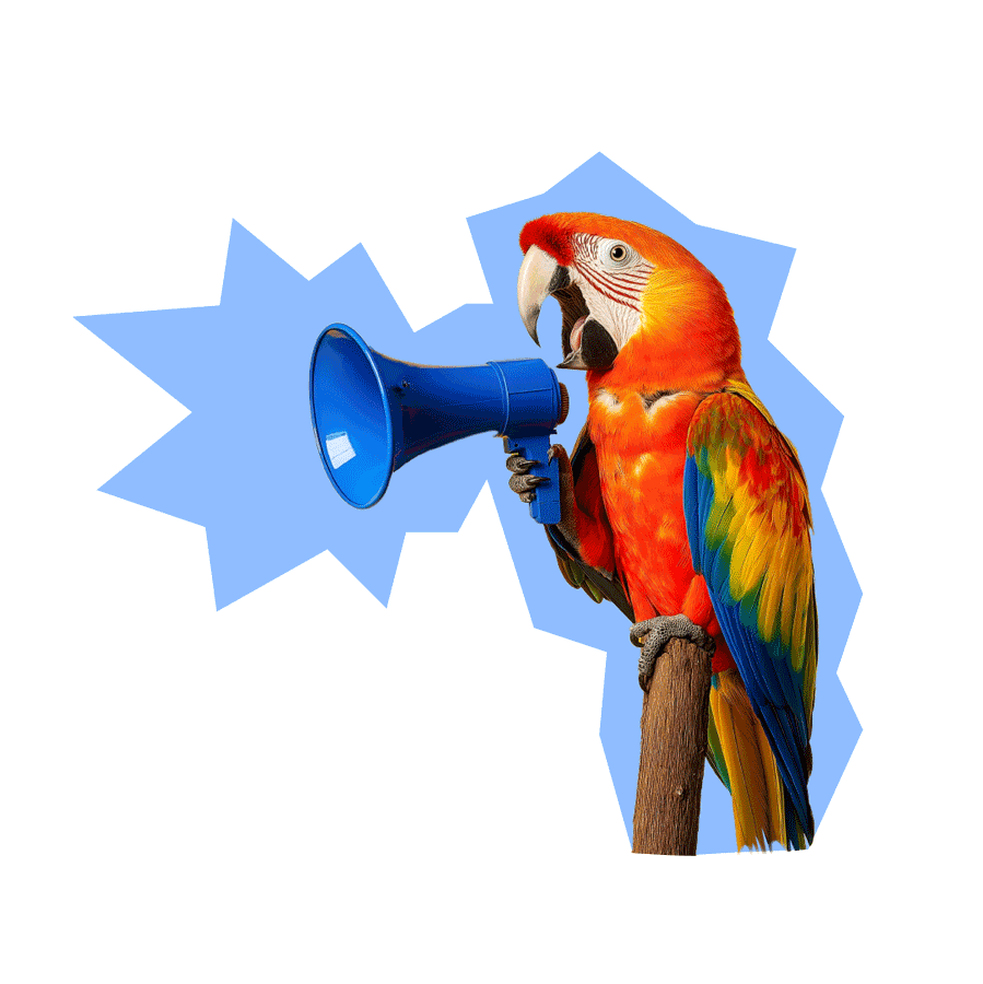PixelConsult - Ihre Webagentur in Dortmund