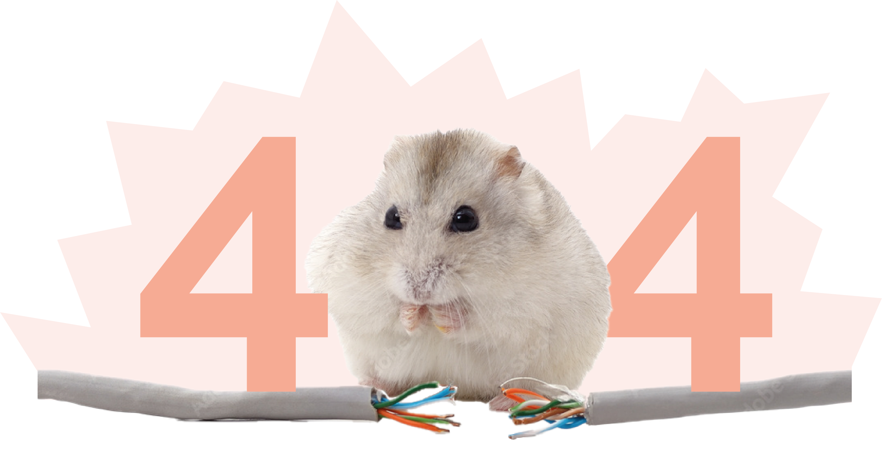 404