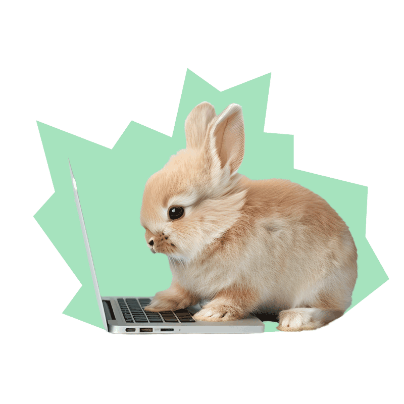 Jetzt Webseite erstellen lassen von PixelConsult